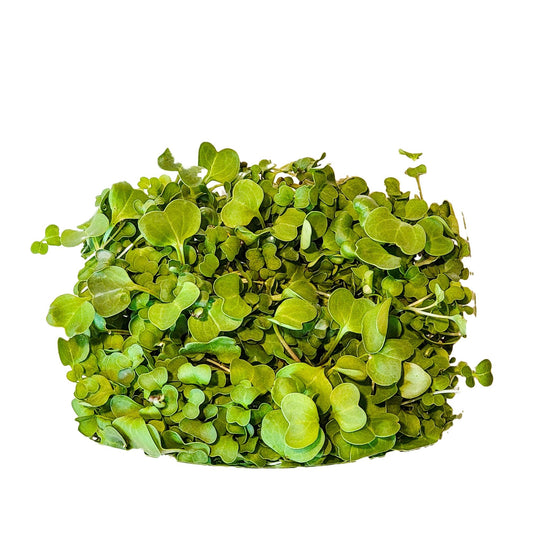 Eastern Sun Microgreens - My Store