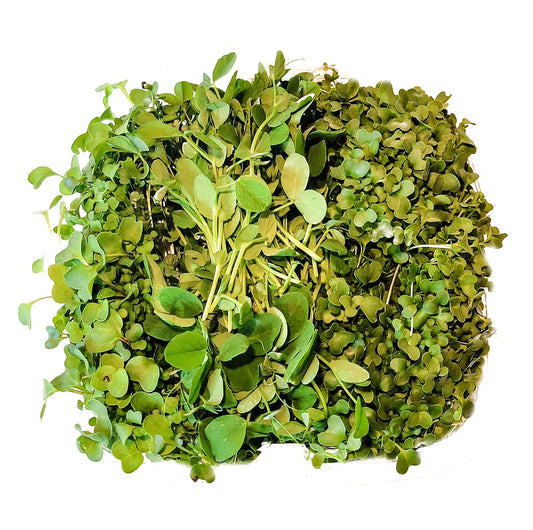 Micro Boost Sampler - My Store