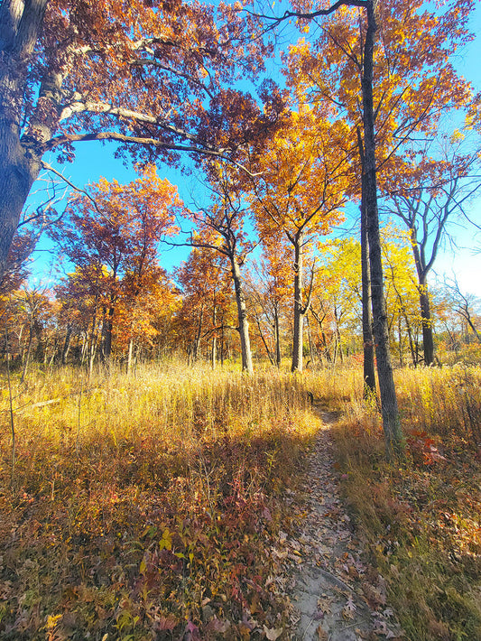 Your plate is full. Are your cells?