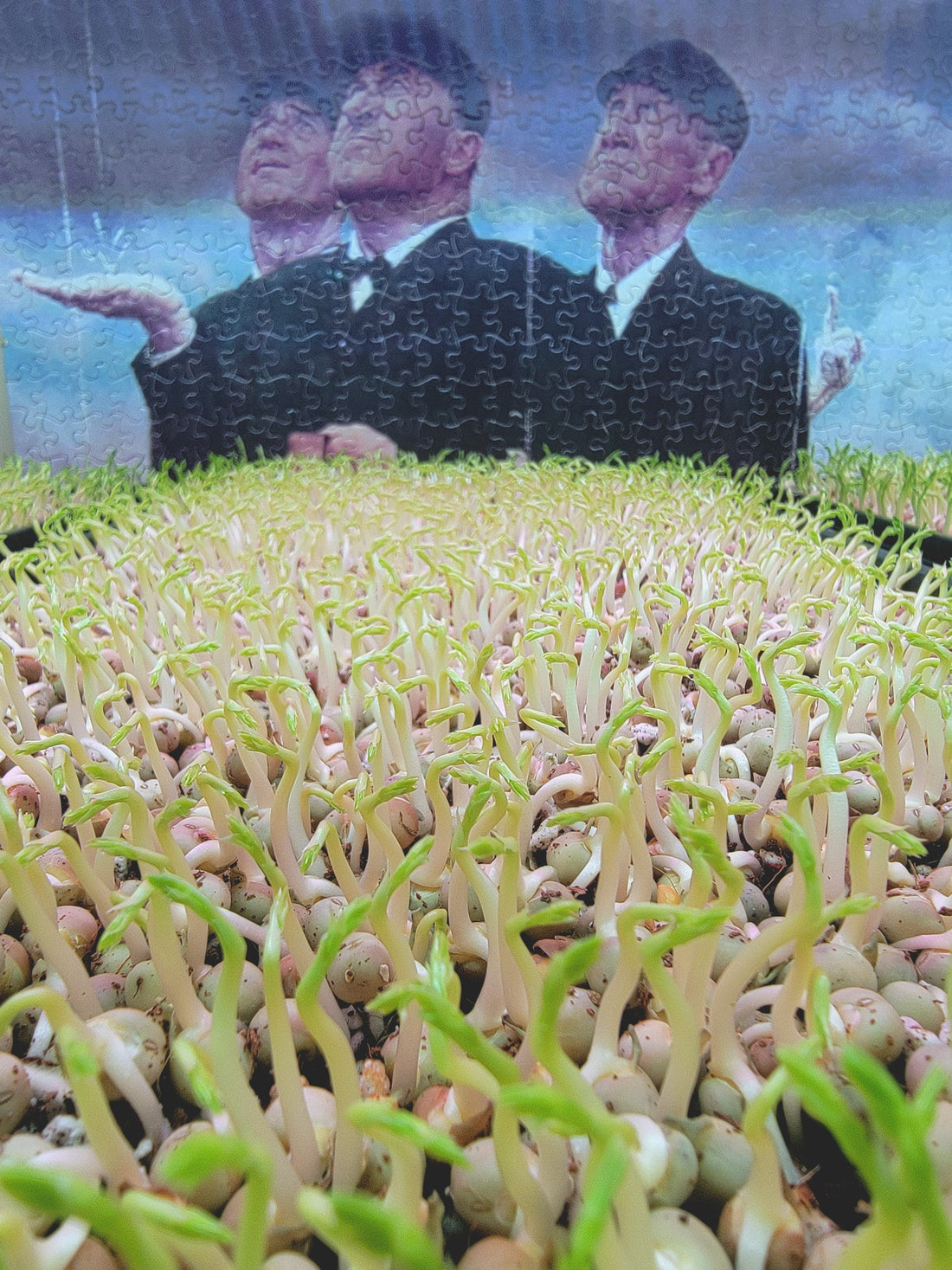 Three tiny upgrades to survive holiday food season