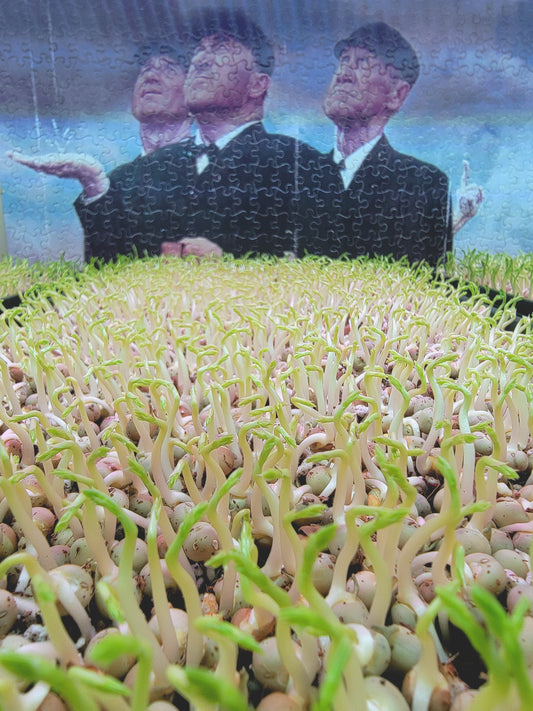 Three tiny upgrades to survive holiday food season