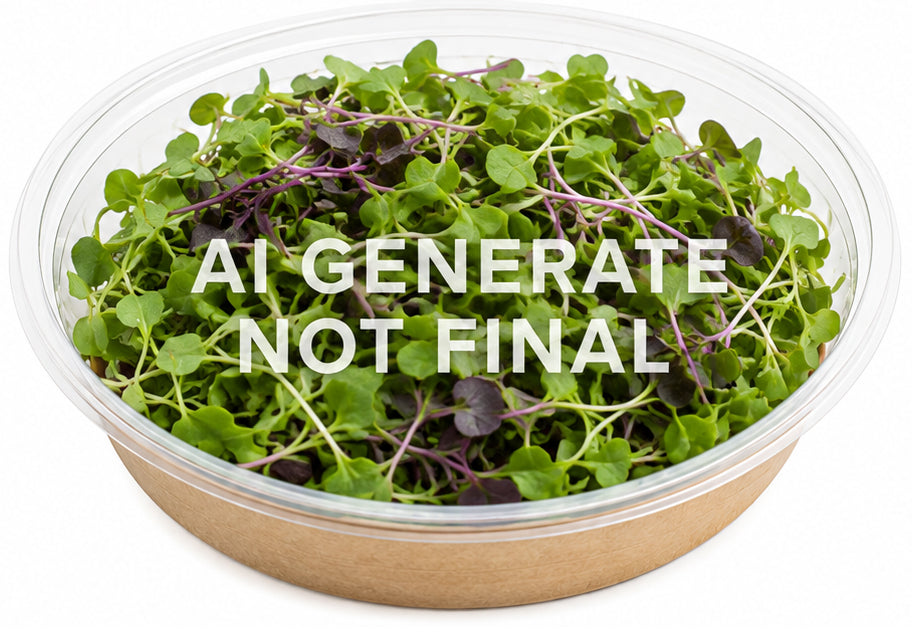 Superfood Power Bowl (Plain)